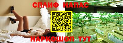 твердый Будённовск